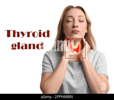 Femme avec illustration de la glande thyroïde et l'expression glande thyroïde sur fond blanc Banque D'Images