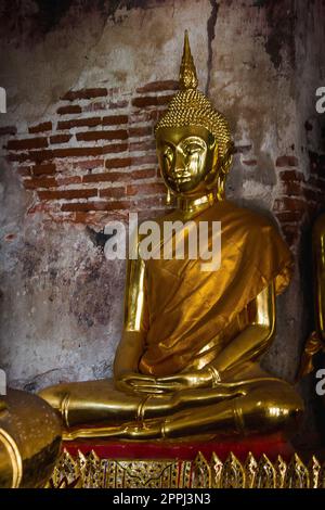 Bouddha d'or à côté de vieux murs dans les temples thaïlandais Banque D'Images