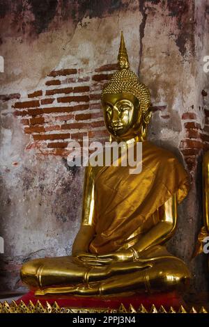 Bouddha d'or à côté de vieux murs dans les temples thaïlandais Banque D'Images