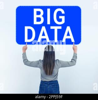 Inspiration montrant le signe Big Data. Mot pour des ensembles si complexes que les logiciels traditionnels ne peuvent pas les traiter Banque D'Images