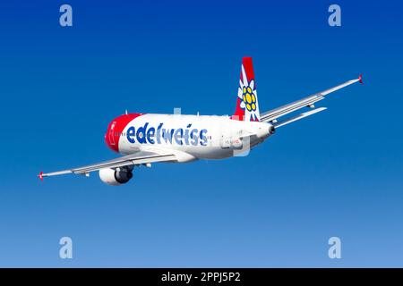 Edelweiss Airbus A320 à l'aéroport de Funchal au Portugal Banque D'Images