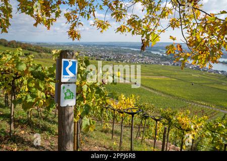Waymark de la piste du Rhin, Allemagne Banque D'Images