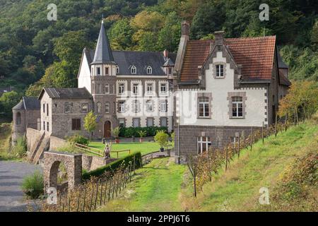 Château de Brohleck, Rhénanie-Palatinat, Allemagne Banque D'Images