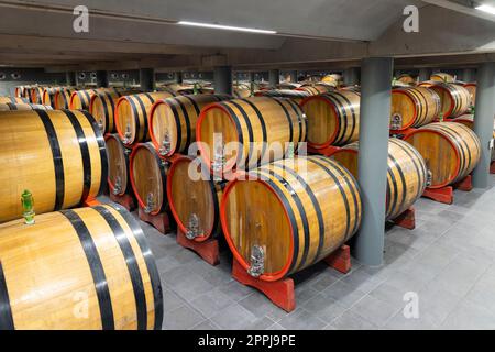 Cave à vin pleine de fûts en bois à Barolo, Piémont, Italie Banque D'Images