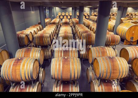 Cave à vin pleine de fûts en bois à Barolo, Piémont, Italie Banque D'Images