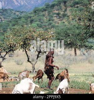 15 mai 2005. Femme imba non identifiée avec un troupeau de chèvres. Epupa Falls, Kaokoland ou province de Kunene, Namibie, Afrique Banque D'Images