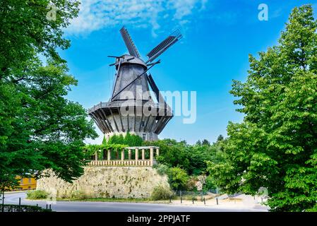 Moulin à vent dans le palais de Sanssouci à Potsdam Banque D'Images