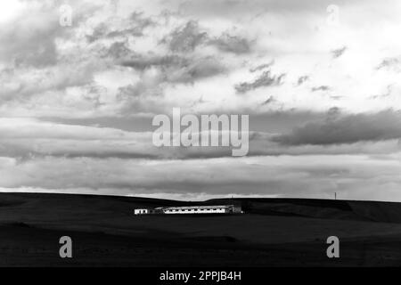 Une image d'ambiance en noir et blanc représentant un pré herbacé à Kakheti, en Géorgie, dans un ciel nuageux Banque D'Images