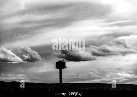 Une image d'ambiance en noir et blanc représentant un pré herbacé à Kakheti, en Géorgie, dans un ciel nuageux Banque D'Images