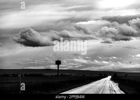 Une image d'ambiance en noir et blanc représentant un pré herbacé à Kakheti, en Géorgie, dans un ciel nuageux Banque D'Images