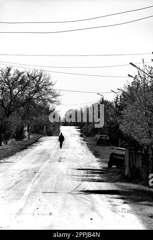 Une image d'ambiance en noir et blanc représentant un pré herbacé à Kakheti, en Géorgie, dans un ciel nuageux Banque D'Images