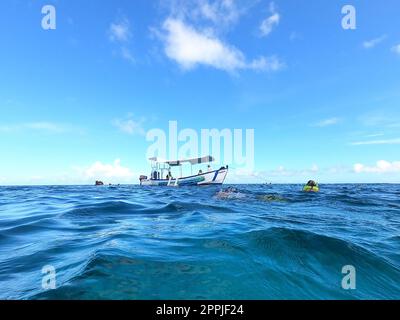 Les gens à la plongée en apnée sous-marine et de pêche en bateau à la mer des Caraïbes à St. Thomas Banque D'Images