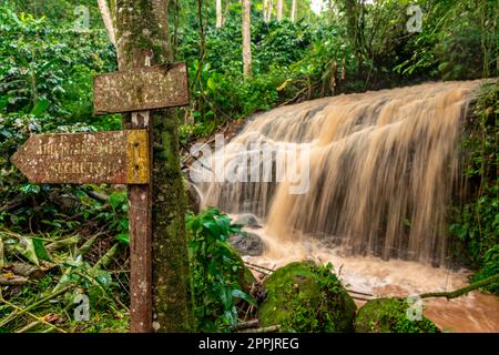 cascade avec eau de pluie dans la forêt tropicale Banque D'Images