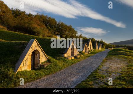 Pincesor Gombos-hegyi d'automne à Hercegkut, site de l'UNESCO, Grande plaine, Hongrie du Nord Banque D'Images