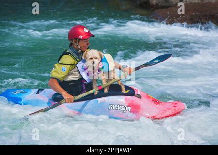 Kayak sur la rivière Uncompahgre à Ridgeway, Colorado. ÉTATS-UNIS Banque D'Images