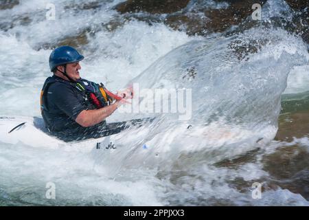 Kayak sur la rivière Uncompahgre à Ridgeway, Colorado. ÉTATS-UNIS Banque D'Images