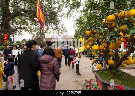 Le temple taoïste Quan Thanh à Hanoi, Vietnam Banque D'Images