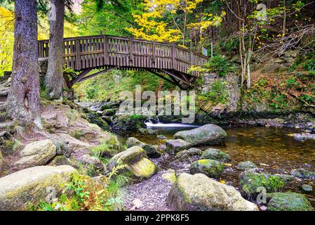 Pont en bois sur la rivière Oker avec de grosses pierres sur l'île engagement dans les montagnes du Harz Banque D'Images