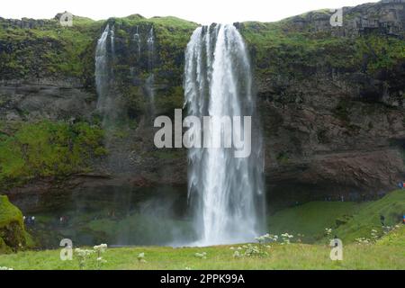 Seljalandsfoss chute en été vue, Islande Banque D'Images