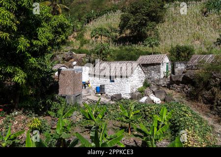 Cap-Vert, Santo Antao - Vallée de Paul Banque D'Images