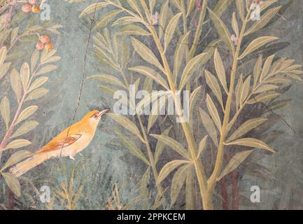 Italie, Pompéi - intérieur de maison romaine de luxe, détail de fresque avec oiseau dans un jardin Banque D'Images