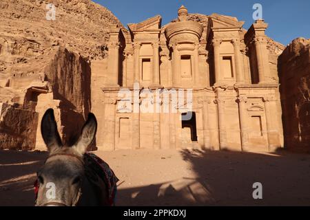 Âne devant le monastère, ad Deir, ad-Dayr, el-Deir, Petra, Jordanie Banque D'Images