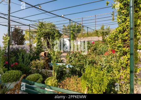 Jardin dans le monastère de Paleokastritsa sur l'île de Corfou, Grèce Banque D'Images