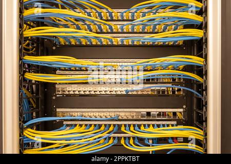 Câbles réseau patchés bien rangés, RJ45, connectés aux commutateurs et routeurs, centre de données Banque D'Images