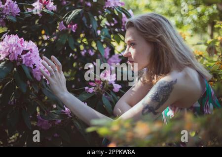 Les fleurs fleurissent dans la photographie pittoresque du printemps Banque D'Images