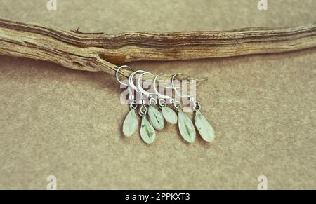 Gros plan de petites boucles d'oreilles avec pétales de fleur en branche sèche photo concept Banque D'Images