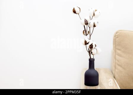 branche de coton dans vase isolé à la maison Banque D'Images