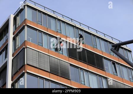 Des nettoyants pour vitres sont suspendus sur une façade à Hambourg et nettoient les fenêtres Banque D'Images