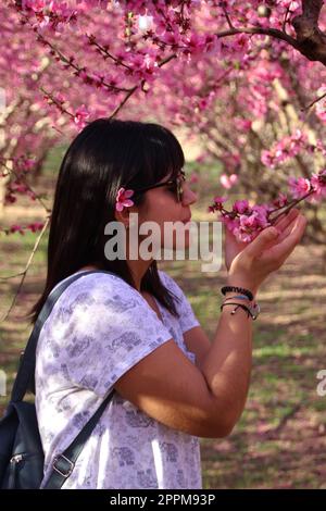 Femme sent les jolies fleurs de pêche rose. Banque D'Images