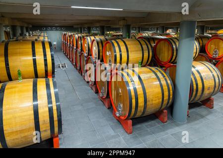 Cave à vin pleine de fûts en bois à Barolo, Piémont, Italie Banque D'Images