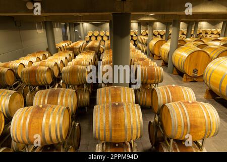 Cave à vin pleine de fûts en bois à Barolo, Piémont, Italie Banque D'Images