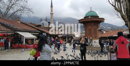 Sarajevo, Bosnie-Herzégovine, le 8 mars 2020, les gens marchent dans les rues centrales de Sarajevo pour nourrir les pigeons. Bascarsija et Square. Monuments islamiques et sites touristiques. Les oiseaux marchent sur le trottoir Banque D'Images