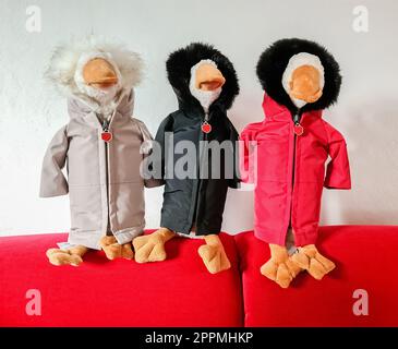 Trois oies en peluche avec des vestes résistantes aux intempéries sont assises sur un canapé rouge devant un mur blanc. Banque D'Images