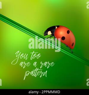 YOY aussi sont un motif rare - fond vectoriel avec citation et insecte ladybug réaliste sur un vert flou. EPS10. Banque D'Images