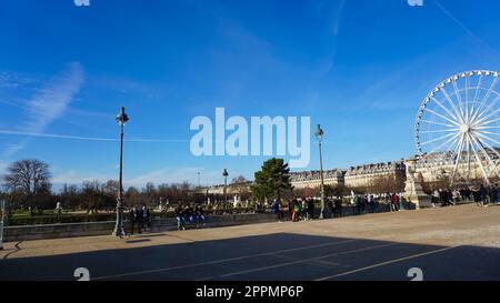 Grande roue Roue de Paris sur la Place de la Concorde de jardin des Tuileries à Paris, France Banque D'Images