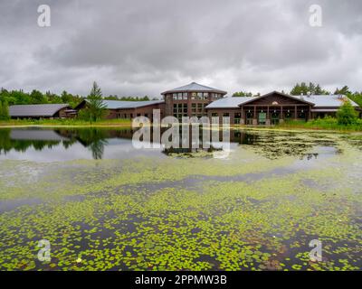 Centre d'accueil, The Wild Center, Tupper Lake, NY Banque D'Images