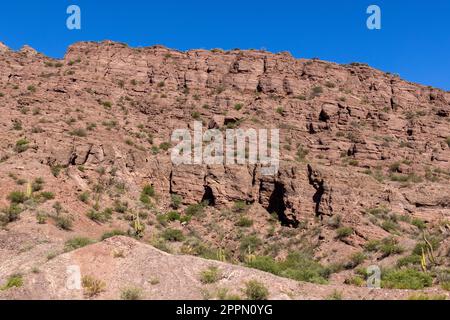 Magnifique paysage rougeâtre du parc provincial Ischigualasto dans la province de San Juan, Argentine - Voyage en Amérique du Sud Banque D'Images