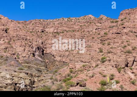 Magnifique paysage rougeâtre du parc provincial Ischigualasto dans la province de San Juan, Argentine - Voyage en Amérique du Sud Banque D'Images