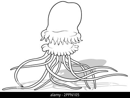 Dessin d'un grand méduse avec tentacules longs Illustration de Vecteur