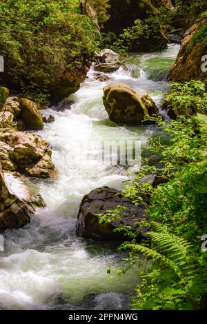 Fleuve sauvage qui coule à travers les gorges de Breitachklamm Banque D'Images