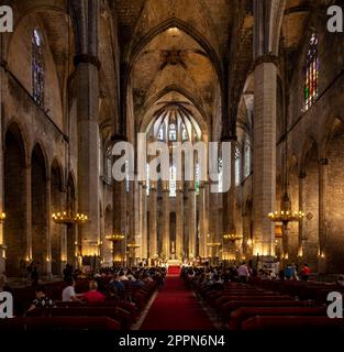 Vue intérieure de la cathédrale de Barcelone, la Catedral, Catedral de la Santa Creu i Santa Eulalia, Barcelone, Catalogne, Espagne Banque D'Images