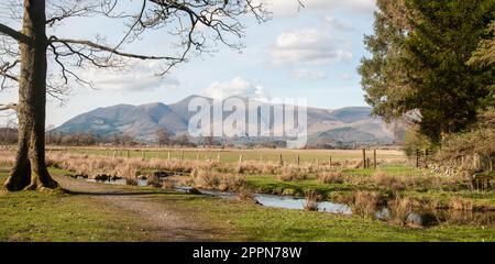 Autour du Royaume-Uni - Une vue sur la vallée de Borrowdale de près de l'hôtel Borrowdale, vers Skiddaw, Lake District, Royaume-Uni Banque D'Images