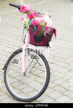 KEMPTEN, ALLEMAGNE - JUIN 9: Bycicle rose avec fleur et perroquet deco dans le panier à vélo vu à Kepmten, Allemagne sur 9 juin 2017 Banque D'Images