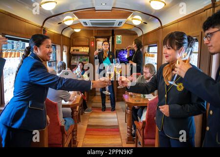 Service de champagne à l'intérieur du train de luxe Expreso de la Robla qui traverse Bilbao jusqu'à Leon, dans le nord de l'Espagne, en Europe. Intérieur du restaurant ca Banque D'Images