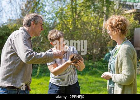 Femme tenant un hérisson (Erinaceidae) dans ses mains le montrant à l'homme, femme observant, Krummsee, Malente, Schleswig-Holstein, Allemagne Banque D'Images