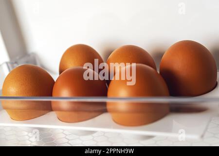 une demi-douzaine d'oeufs dans le plateau du réfrigérateur 6 oeufs de poulet dans un frigo vide Banque D'Images